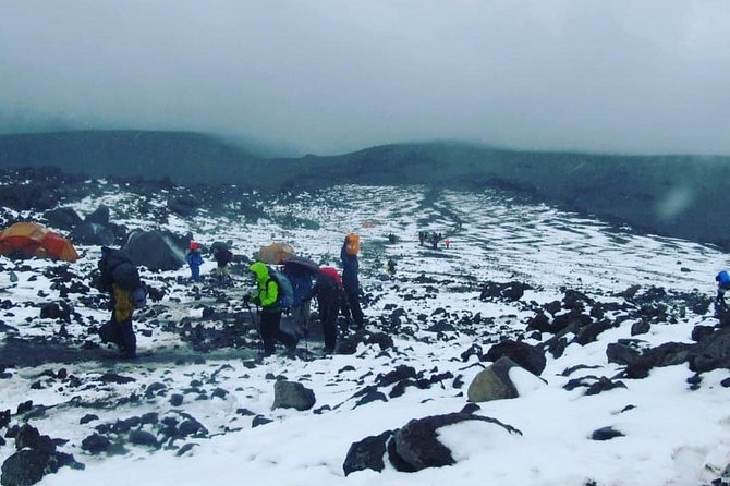 Mt Kilimanjaro 6 days Marangu route hike - Day 2: Moorlands to Horombo, Mawenzi and Kibo Appear