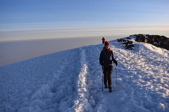Mt Kilimanjaro 6 days Marangu route hike - Day 6: Descent via Moorland to Mandara and Out Through Marangu