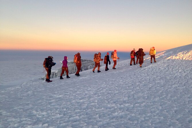 Mt. Kilimanjaro Climb - 8 Day Lemosho Route - Why the 8-day Lemosho route is a smarter Kilimanjaro bet