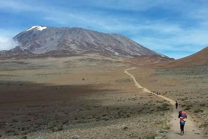 Mt Kilimanjaro Climb - 8 days Lemosho - Day 1: Lemosho Gate to Big Tree Camp at 2,780 m