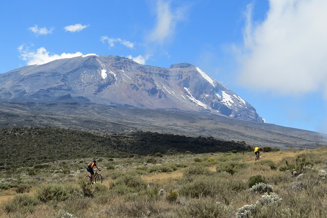 Mt Kilimanjaro Climb - 8 days Lemosho - Day 7: Barafu to Uhuru Peak and down toward Mweka Camp, a long steep reality check