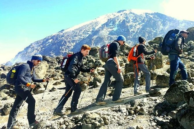 Mt Kilimanjaro Climbing; 6 Days Machame route - Summit day: from the crater rim to Stella and Uhuru, then down into the heather zone