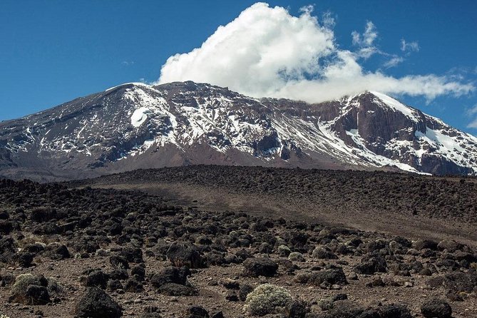 Mt Kilimanjaro Climbing; 6 Days Machame route - Day 2 through Shira: moorland hikes, Kibo views, and Shira Caves