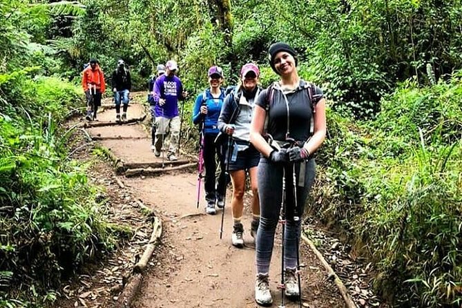Mt Kilimanjaro Day Hike - Key highlights that make this Kilimanjaro day hike special