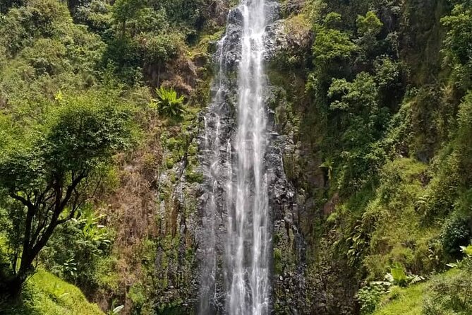 Mt. Kilimanjaro Day hike Materuni waterfall - Price and what you’re really paying for