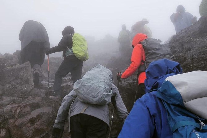 Mt. Kilimanjaro Day Hiking - Key things you will notice on this Kilimanjaro day hike
