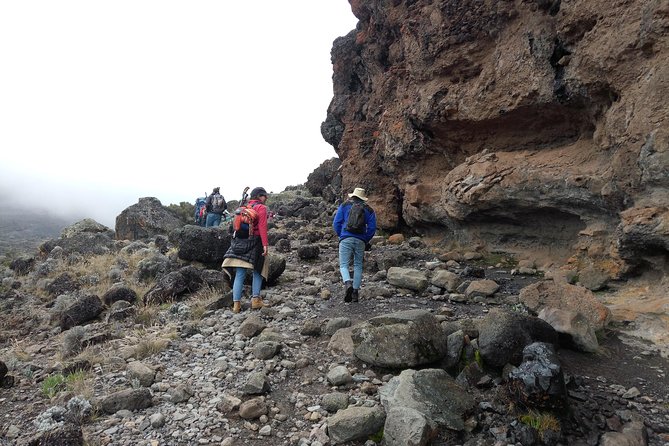 Mt. Kilimanjaro Day Hiking - Moshi to Marangu Gates: what this day hike is actually doing