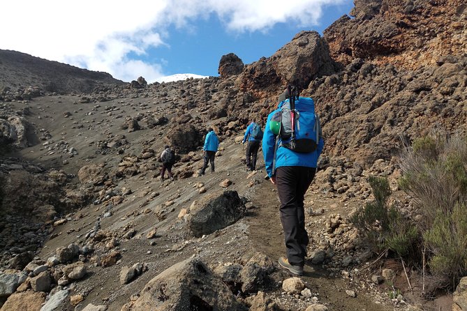 Mt. Kilimanjaro Day Hiking - Marangu Gates to the first lodges: your hike rhythm and the big milestones