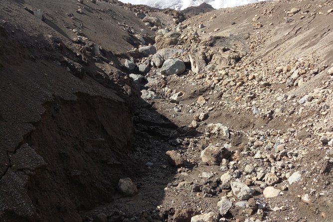 Mt. Kilimanjaro Day Hiking - Transport and park fees: the value most day trips forget