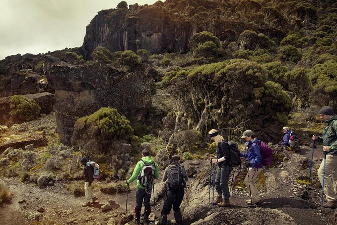 Mt.kilimanjaro-machame Route - Day 1, Machame Gate to Machame Camp: Rainforest Entry and Permit Day
