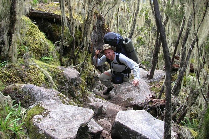 Mt Kilimanjaro Trek, 6 Days - Umbwe Route - Acclimatization reality on Umbwe’s tighter altitude profile