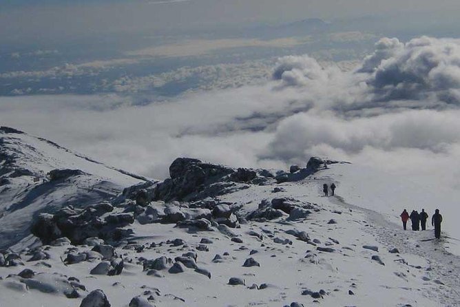 Mt Kilimanjaro Trek, 6 Days - Umbwe Route - Logistics from Moshi to Umbwe Gate, and back to your hotel