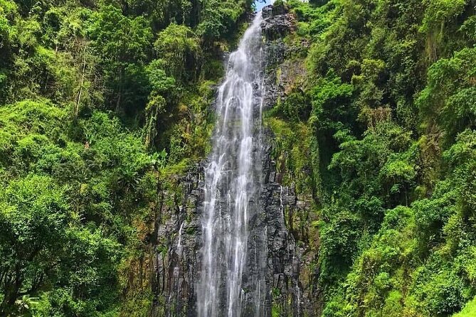 Multi-Day Camping Safari Experience in Arusha - Ngorongoro crater descent: 600 meters down and Lake Magadi