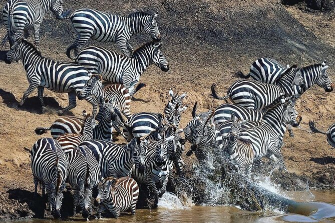 Multi-Day Camping Safari Experience in Arusha - Meals, comfort, and the practical perks that add up