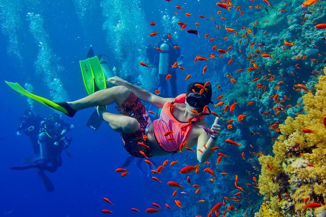 Nakupenda Island Snorkeling Sea trip & Lunch W/Transfer -Zanzibar - Nakupenda Island Sandbank: The Tide Controls the Party