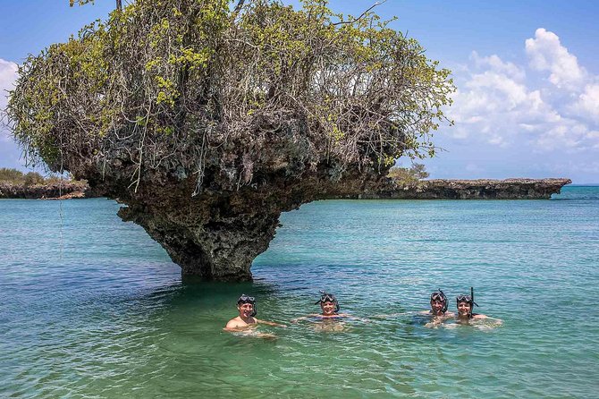 Nakupenda Island Snorkeling Sea trip & Lunch W/Transfer -Zanzibar - Snorkeling Setup and Safety Basics You Can Actually Rely On