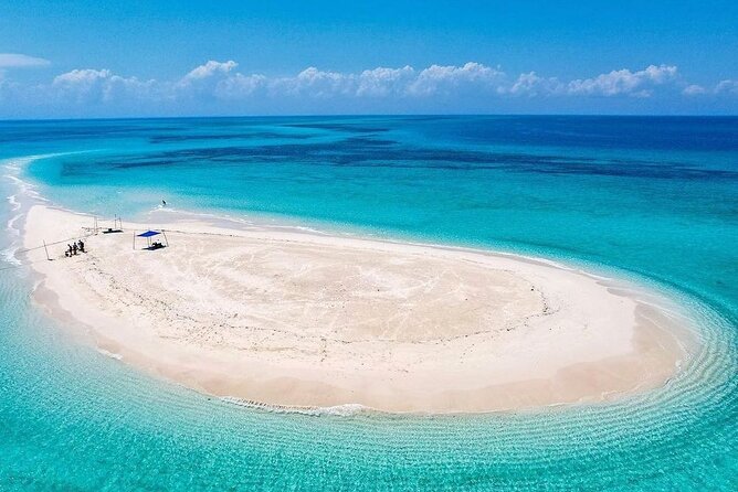 Nakupenda SandBank & Prison Island (Changuu Island) - Nakupenda Beach Nature Reserve: white sand, birdlife, and calm water