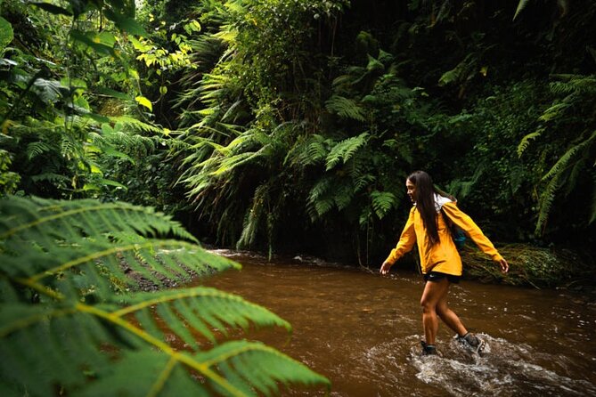 Napuru Waterfalls - Why Napuru Waterfall feels like a real Arusha escape