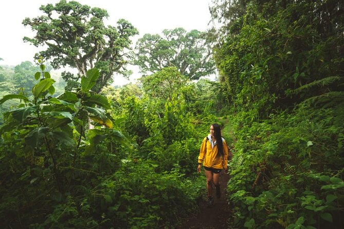 Napuru Waterfalls - Price and value: is $106 a fair deal?