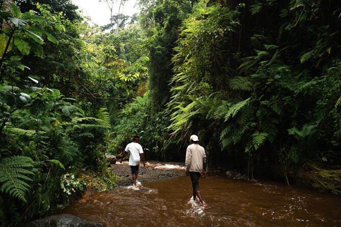 Napuru Waterfalls - Who should book Napuru Waterfalls, and who should think twice