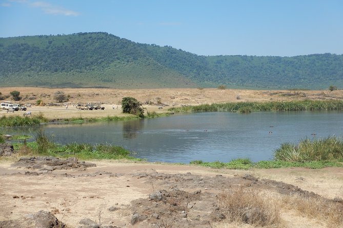 Ngorongoro Adventure Day Tour from Arusha - Ngorongoro Crater from Arusha, with the morning rhythm built in