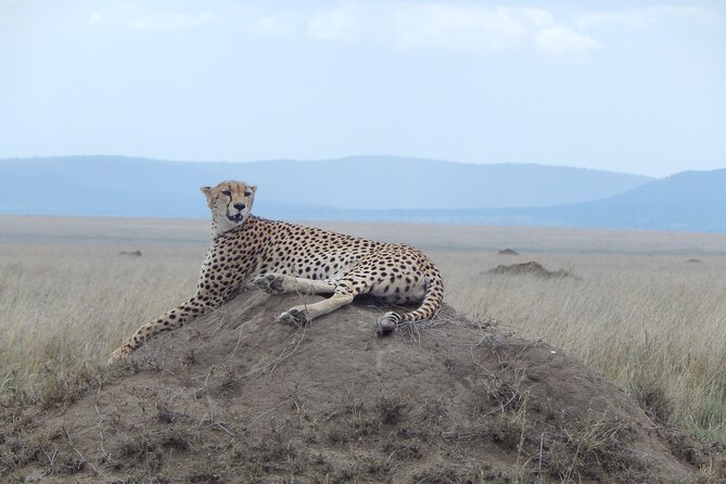 Ngorongoro Adventure Day Tour from Arusha - What the day actually feels like on the ground