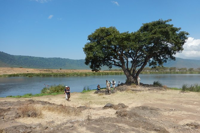 Ngorongoro Adventure Day Tour from Arusha - The crater experience: 2,000 feet down, then a guided floor safari