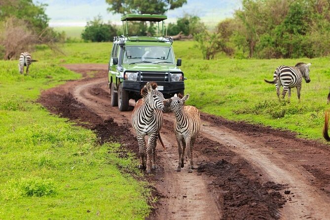 Ngorongoro Crater Day Trip - Price and Value: What 325 USD Covers for a Ngorongoro Day Trip