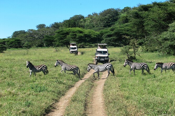 Ngorongoro Crater Day Trip – Shared Group Safari - Hippo Pools: watching elephants is great, watching hippos is better