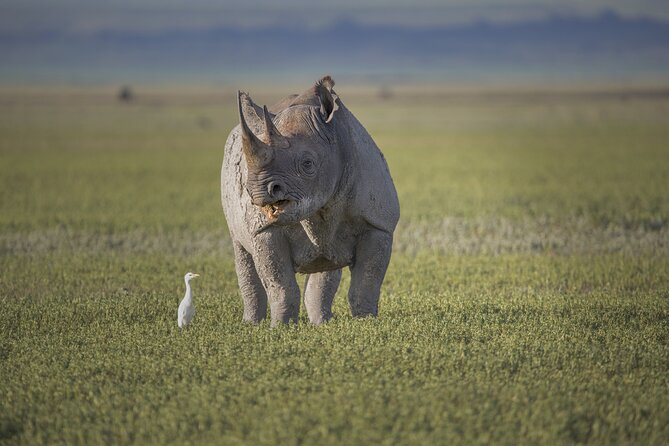 Ngorongoro Crater Day Trip – Shared Group Safari - Maasai culture encounter: a short lesson on coexistence