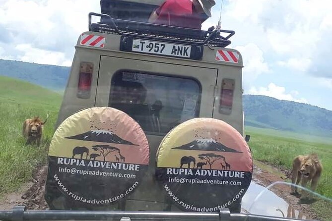 Ngorongoro Crater Day Trip - Inside Ngorongoro Crater: Wildlife Density and Big Game Expectation