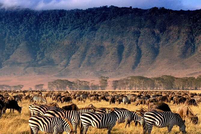 Ngorongoro Crater Exclusive: A Journey into Africa’s Eden - A 6:00 AM Private Start From Arusha
