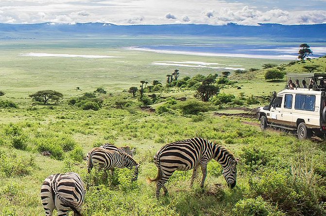 Ngorongoro Crater Exclusive: A Journey into Africa’s Eden - Who This Safari Fits Best (And Who Might Rethink It)