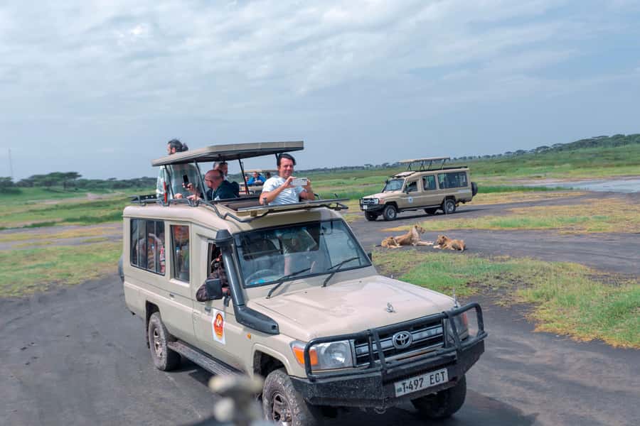 Ngorongoro Crater: Full-Day Safari Tour - Ngorongoro Crater in plain terms: the UNESCO caldera you come for
