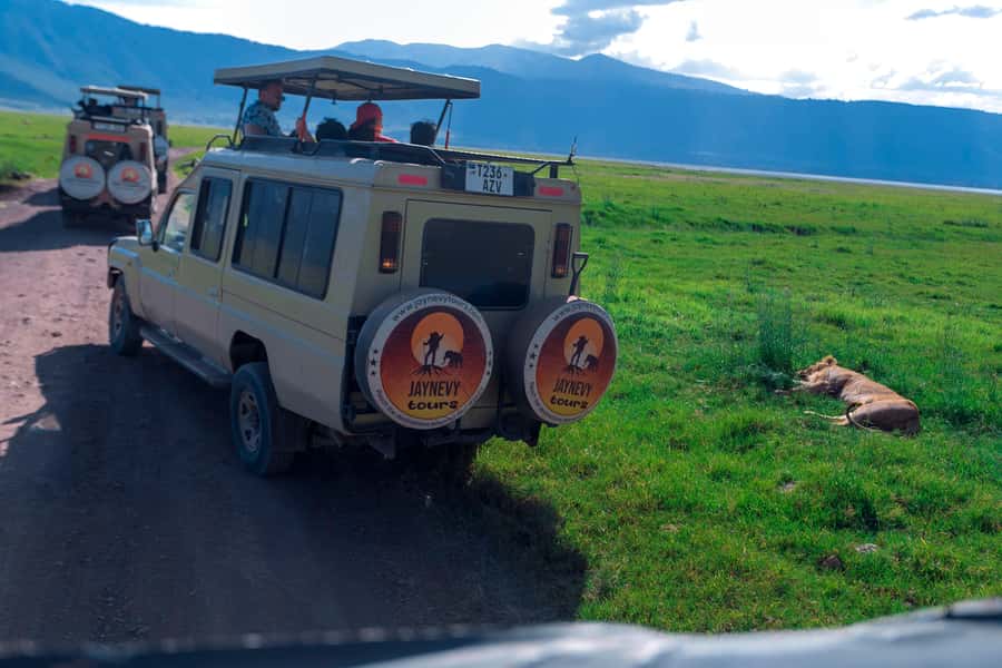 Ngorongoro Crater: Full-Day Safari Tour - Should you book this Ngorongoro Crater safari with Jaynevy Tours?