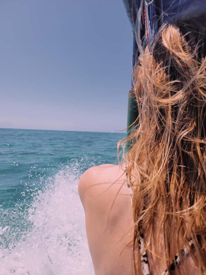 Nungwi: Dolphins,snokerlling &/or sunset cruising tour - Key things I’d plan around