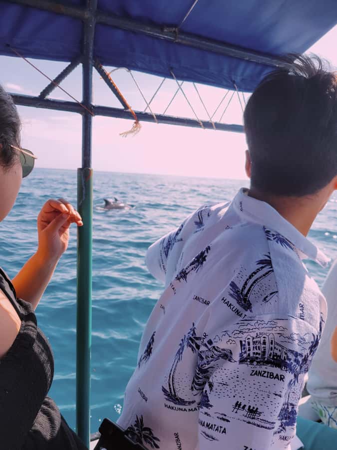 Nungwi: Dolphins,snokerlling &/or sunset cruising tour - Pickup, van rides, and where you’ll end up