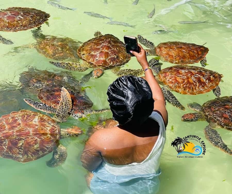Nungwi: Swimming with Turtles at The Lagoons Zanzibar - Where The Lagoons Zanzibar fits into Nungwi