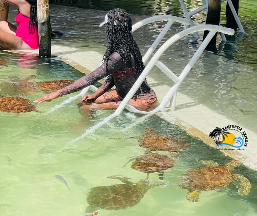 Nungwi: Swimming with Turtles at The Lagoons Zanzibar - The rescue story your guide shares before you swim