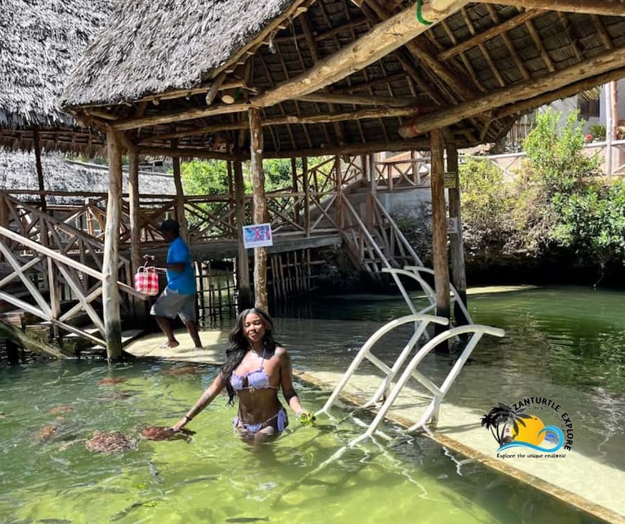 Nungwi: Swimming with Turtles at The Lagoons Zanzibar - Swimming with turtles, plus feeding across four lagoon pools