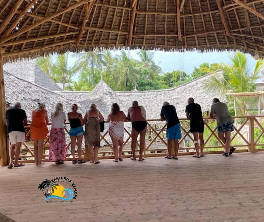 Nungwi: Swimming with Turtles at The Lagoons Zanzibar - Price, value, and what $43 gets you