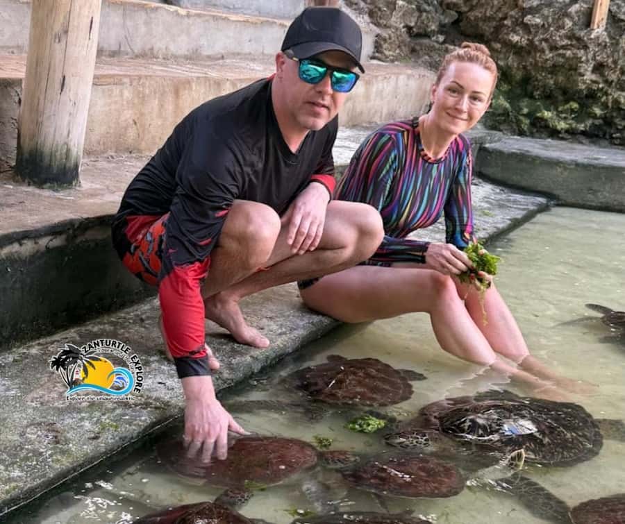 Nungwi: Swimming with Turtles at The Lagoons Zanzibar - What to bring so the day feels easy