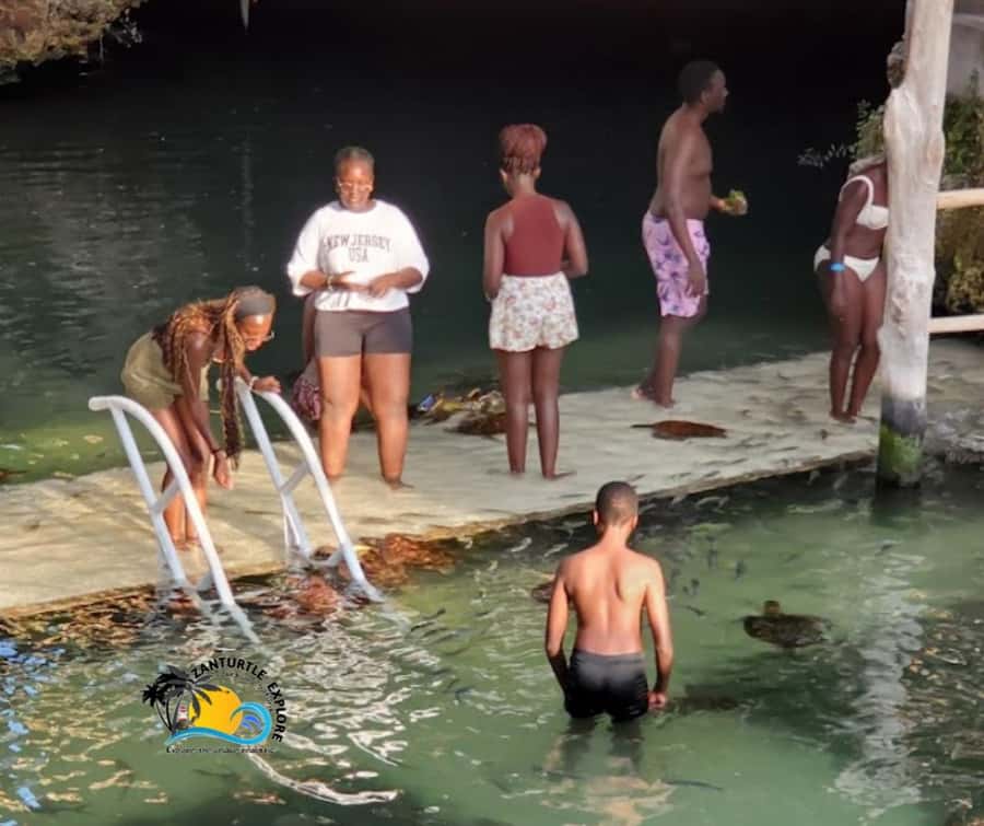 Nungwi: Swimming with Turtles at The Lagoons Zanzibar - Who this tour suits best