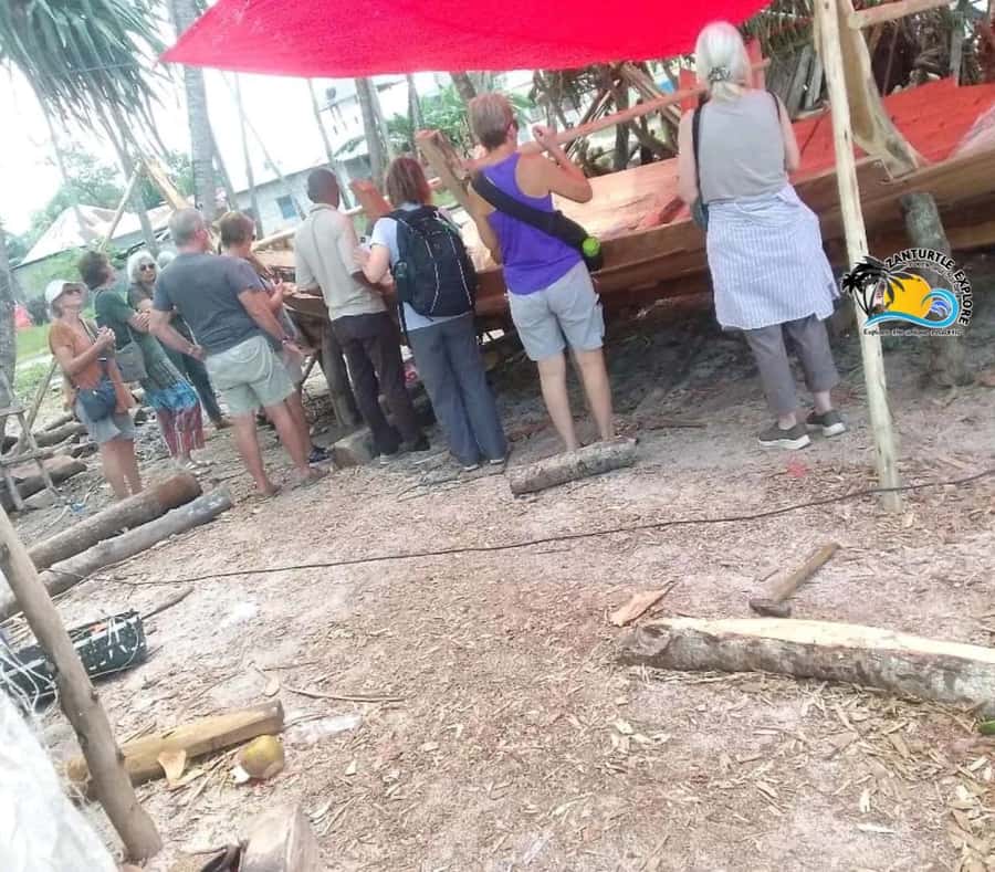 Nungwi Village Tour & Swim with Turtles at Mnarani Aquarium - Who This Tour Suits, and Who Should Think Twice