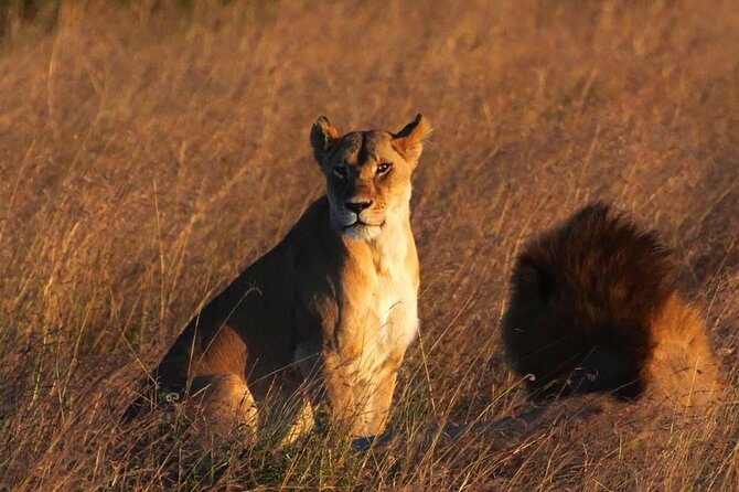 Off the Beaten Track Safari in Arusha Tanzania - Arriving in Arusha: name-sign pickup, Springlands comfort, and a real briefing