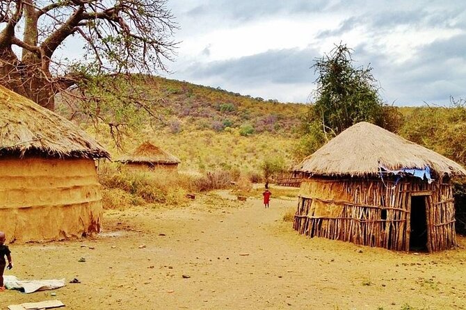 Off the Beaten Track Safari in Arusha Tanzania - Ngorongoro Crater drive: black rhino, lions, and flamingos in one day