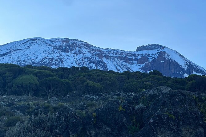 One Kilimanjaro Day hike Tour ISMANI TOURS AND SAFARIS - 6 Key Things to Know Before Your Kilimanjaro Day Hike