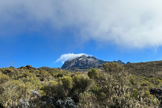 One Kilimanjaro Day hike Tour ISMANI TOURS AND SAFARIS - Included Entrance Fees: Why Free Admission Changes Your Math