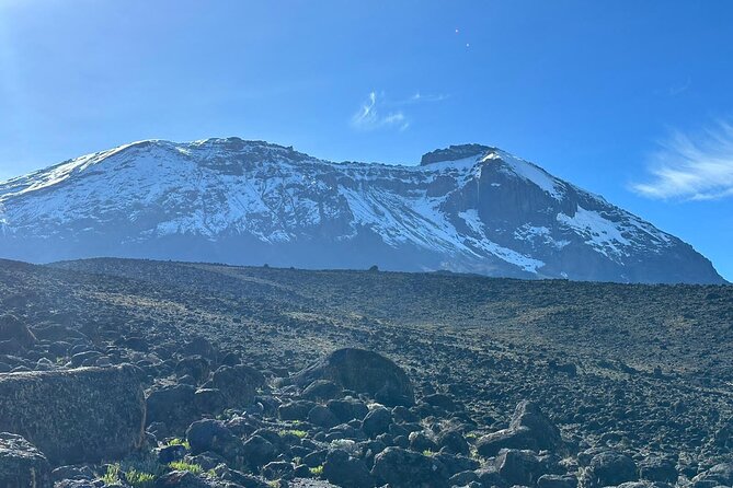 One Kilimanjaro Day hike Tour ISMANI TOURS AND SAFARIS - Start at Marangu Gate, Then Settle Into the Park Atmosphere