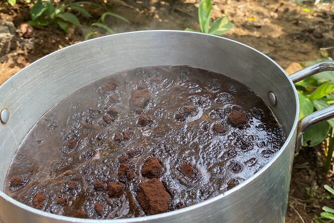 Organic Coffee Tour and Local Food Experience in Arusha - Snacks on the way, and why that matters on a 3-hour schedule